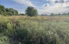 Teren 5.078 mp km 30 Bucuresti-Pitesti- 26.500 eur - 1