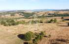 Teren de 50.000mp, priveliste panoramica spre munte si lac, Hunedoara - 1