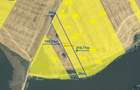 Teren intravilan 5.000 mp – Balotești - deschidere și ieșire la lac - 2