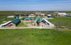 Black Angus Farm with authorized Slaughterhouse - 10