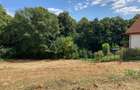 TEREN INTRAVILAN 1060 MP, BUCIUM- BARNOVA, DESCHIDERE LA DRUM 23 M - 1