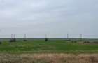 Giurgiu-Marsa Teren Agricol 8.5 Ha - 5