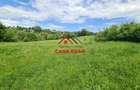 Teren intravilan in Campina--4355mp--28.500 euro - 2