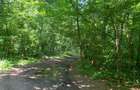 46644 mp teren in Padurea Baneasa proiect exclusivist - 15