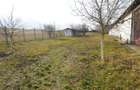 MICRO-FERMA + CASA IN VOIVOZI - BIHOR - 8