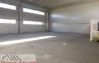 C. Lugojului HALA Productie/Depozitare - 430 mp -1750 euro - 1