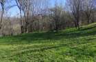 Teren intravilan com.Drajna, sat Cătunu, 12 km de Vălenii de Munte, jud. Prahova - 8
