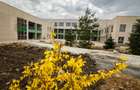 Teren intravilan la 500m de Hub-ul Educational Borhanci-Sopor - 6
