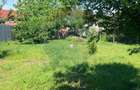 Teren 650 mp,  cu casa modesta, zona Blv Nicolae Romanescu - 6