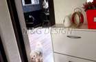Apartament 2 camere Giroc - 5