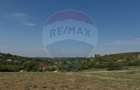 Teren de Vânzare, Intravilan, 5511 mp, în Zona de Dealuri cu Panoramă - 7