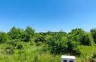 Lot pentru două case – Corbeanca Tamași - 12