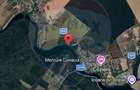 Teren intravilan 1.650 mp cu deschidere la Lacul Pasărea și la drum - 1