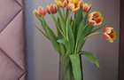 Apartament 2 camere, H Pipera Lake - 9