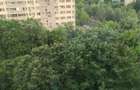Dristor - Camil Ressu vanzare ap. 2 camere - 1