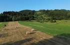 Teren 5886 mp In Bucovina - Bucsoaia! De Vanzare! 0727817187 - 12