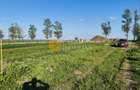 🌳 Teren Intravilan iesire Vorovești - 500 mp - 20.000 Euro 🏡 - 7