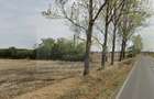 Teren de vanzate-intravilan -Balotesti-151.021 mp - 3
