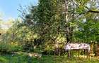Casă de vânzare cu teren 35 ari în satul Prislop, comuna Boiu Mare, Maramureș - 9