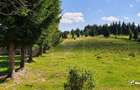 Teren intravilan 10.814 mp cu PUZ aprobat – Beliș - 1