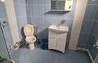 Cazare muncitori garsoniere/apartamente la curte in Vladimirescu - 10