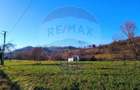 COMISION 0%  Teren intravilan de vanzare in Barsana (26 ARI) - 8