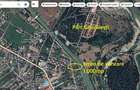 Gheraiesti - str. Arinilor - 1.000mp - 2