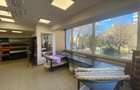 SPATIU STRADAL 567 MP - VAD COMERCIAL - PACHE PROTOPOPESCU - 11