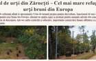 Teren 12 000 mp cu PUZ - 6 Blocuri - P+5E - 104 apartamente -  Brasov - 13