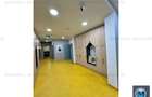 Spatiu  birouri de vanzare, zona Albert, 210.70 mp #16648 - 6
