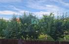 Apartament 3 camere, cu parcare, Sanpetru, Brasov - 12