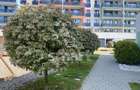 Apartament 2 camere 59mp+ terasa complex rezidential Borhanci  - 17