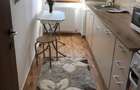 Apartament cu 1 camera - zona Podu Ros - Vis a vis de ANAF  - Pet Friendly - 6