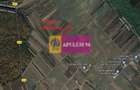 Săbăreni, teren intravilan construibill, la 300 m de pădure - 1