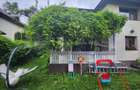 VANZARE CASA P+1+POD | MOGOSOAIA | ZONA LINISTITA | CURTE PROPRIE | - 14