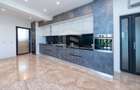 Sanpetru ,Subcetate-Casa 4 camere,3 bai+480 mp teren - 48