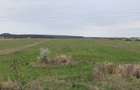Teren intravilan in Sanmartin - 3