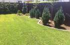 Inchiriere Vila individuala 4 Camere cu Gradina si Garaj - 10