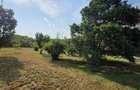 Ciopani vila 5 camere teren 4000 mp - 38