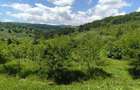 BREAZA – OCINA DE SUS – VILA EXCLUSIVISTA – 343 mp – 5000 mp TEREN – 195.000 EUR - 16