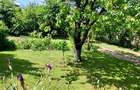 Proprietar vând casă în Valea Lupului – poziție excelentă, grădină superbă și po - 6