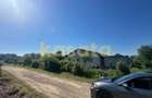 OPORTUNITATE | TEREN | SNAGOV TANCABESTI | CASA | 1000 MP | INVESTITIE - 1