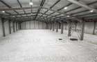 Hala Industriala Balotesti - Spatiu Generos si Accesibilitate Excelenta - 8