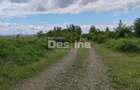 Teren extravilan, 114000 mp, Parc industrial West Park - 16