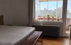 Apartament cu terasa Gradina Icoanei - 7