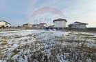 Teren de vanzare pentru casa, 621mp Ilfov Domnesti str Ciocarliei - 5