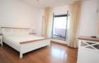 Penthouse 5 camere Gradina Icoanei - 8