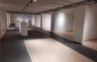 Spatii Comerciale - 500 mp - Showroom - Comert - 17