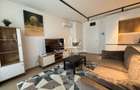 Apartament deosebit cu 2 camere in Isho - vedere spre Bega - 4