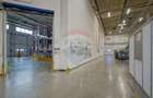 Hală industrială 5.000–12.000 mp de închiriat, Ghimbav - 12